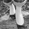 Roof socks