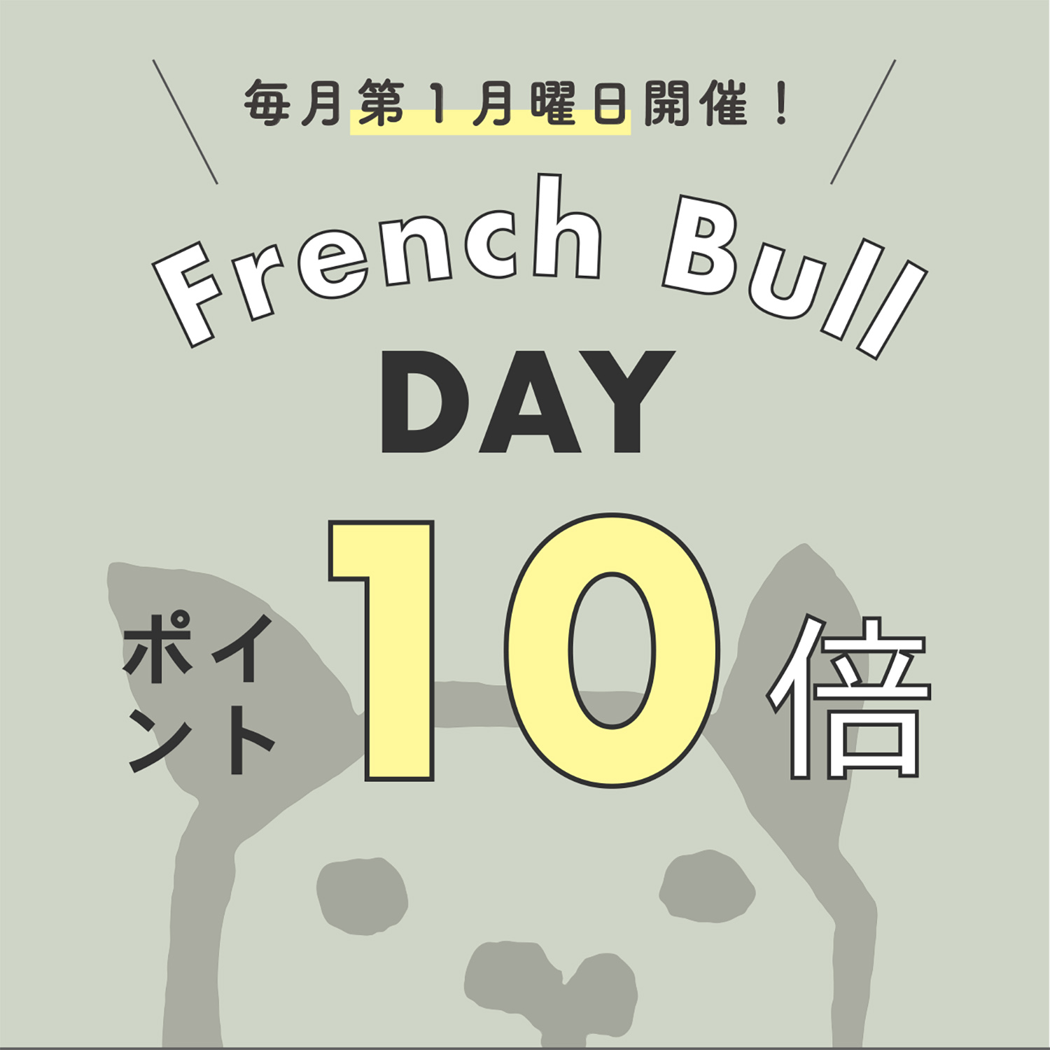 毎月第1月曜日は『ポイント10倍デー』
