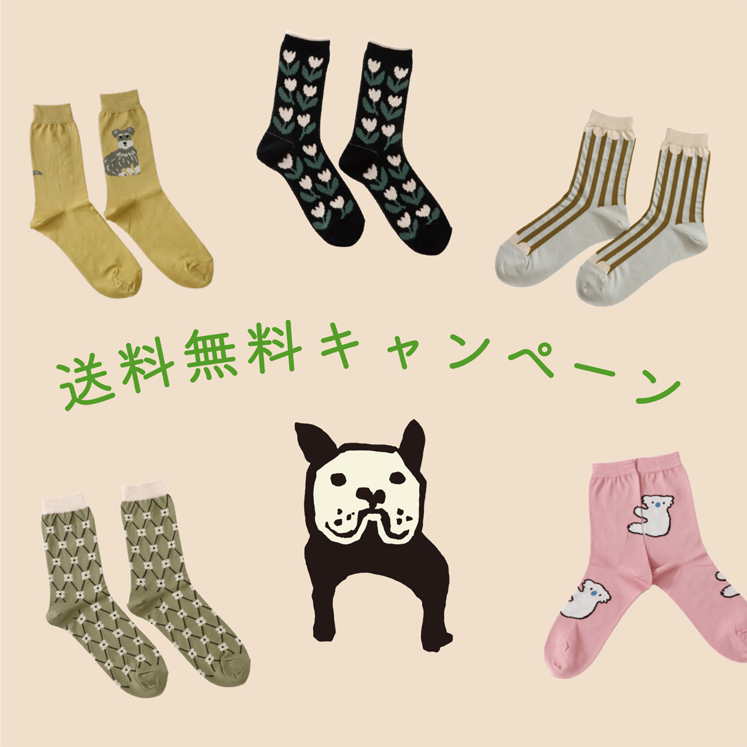 French Bull online shop会員様限定『ポイント5倍キャンペーン』