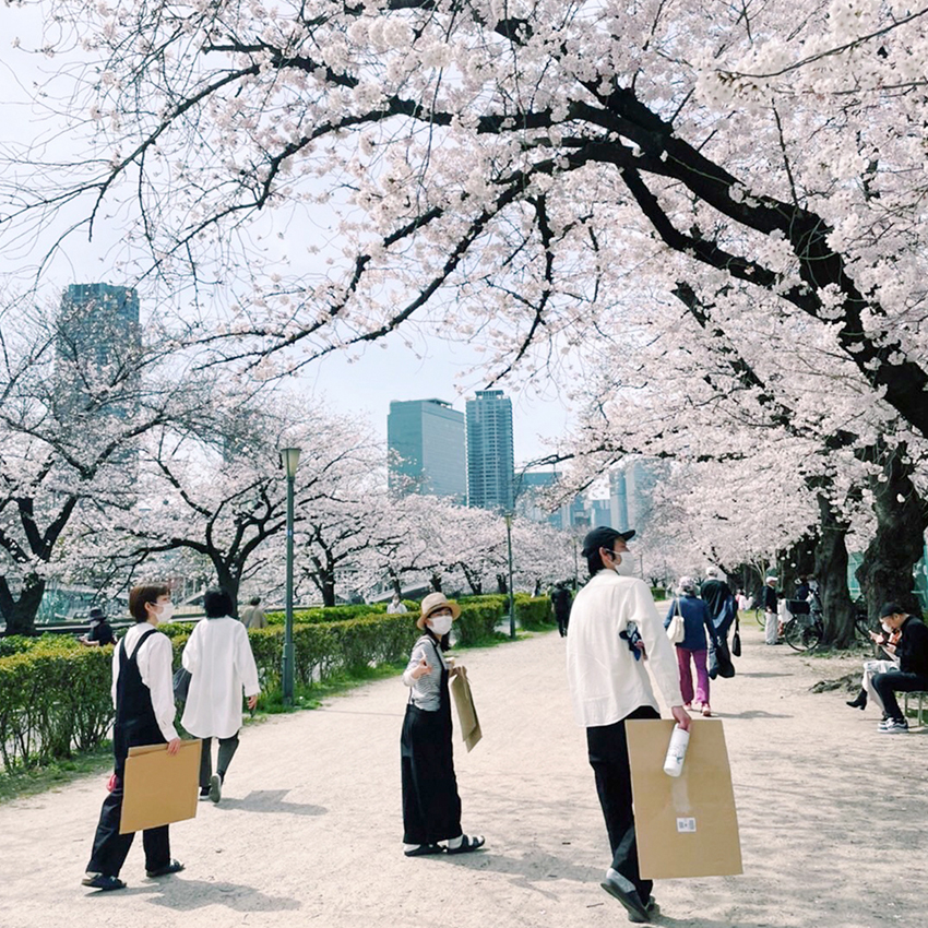 満開の桜を眺めながら